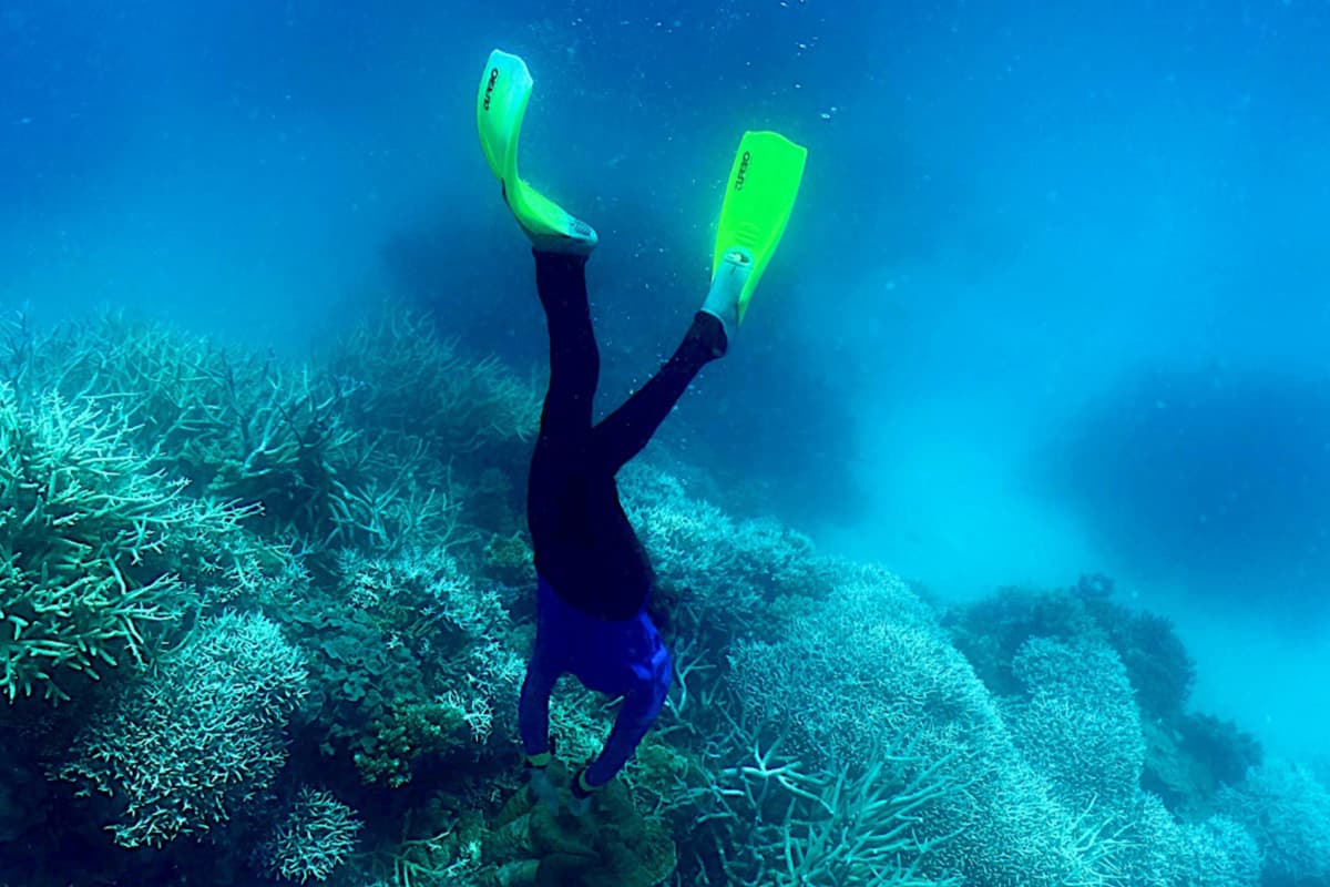 แนวปะการังมีความอ่อนไหวต่อสภาวะที่เปลี่ยนแปลงในมหาสมุทรเป็นอย่างมาก และภาวะโลกร้อนถือเป็นภัยคุกคามที่ยิ่งใหญ่ที่สุดต่อระบบนิเวศที่มีชีวิตชีวาเหล่านี้