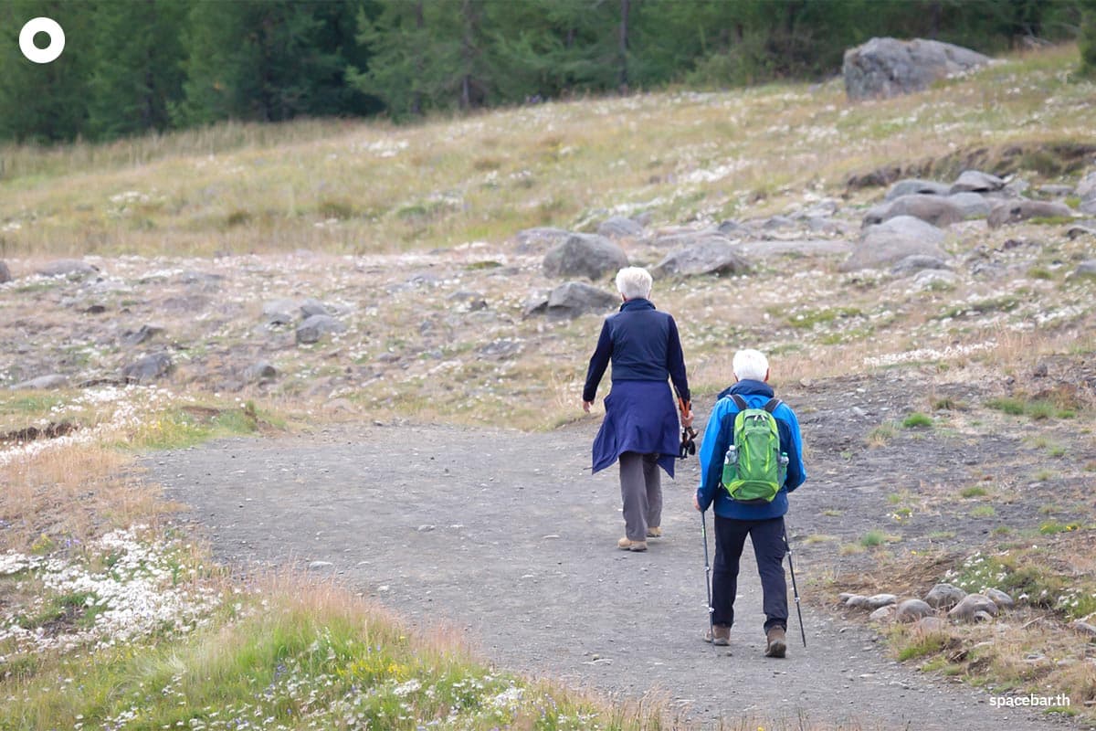 Photo by : Shutterstock / MyImages – Micha