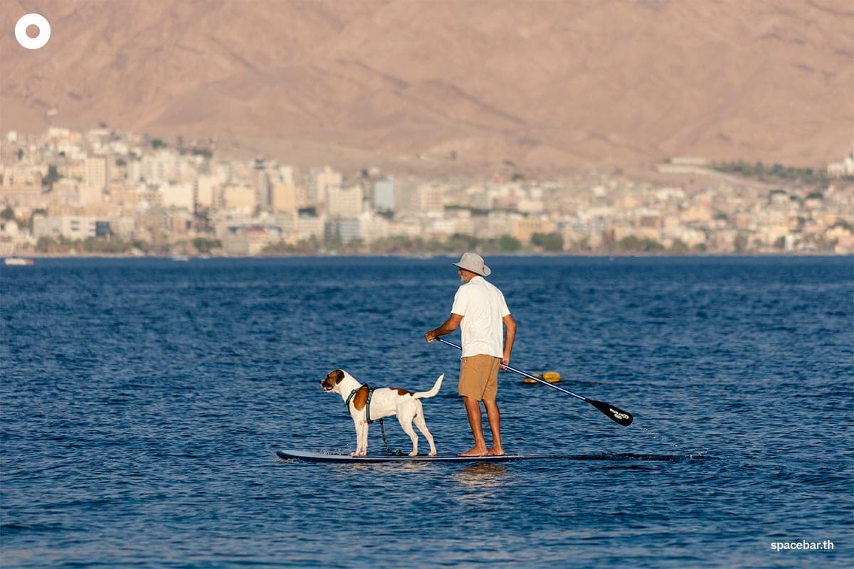 Photo by : Shutterstock / AllyE