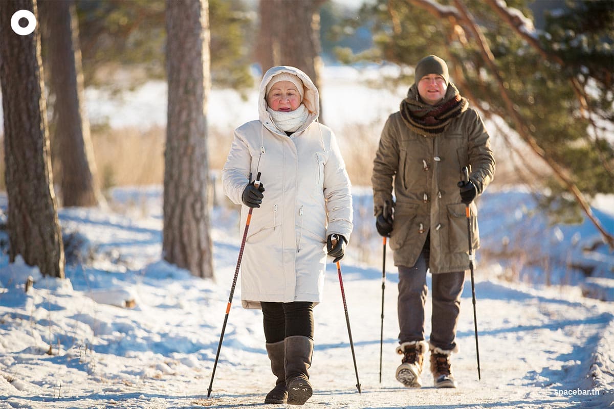 Photo by : Shutterstock / Aleksandra Suzi