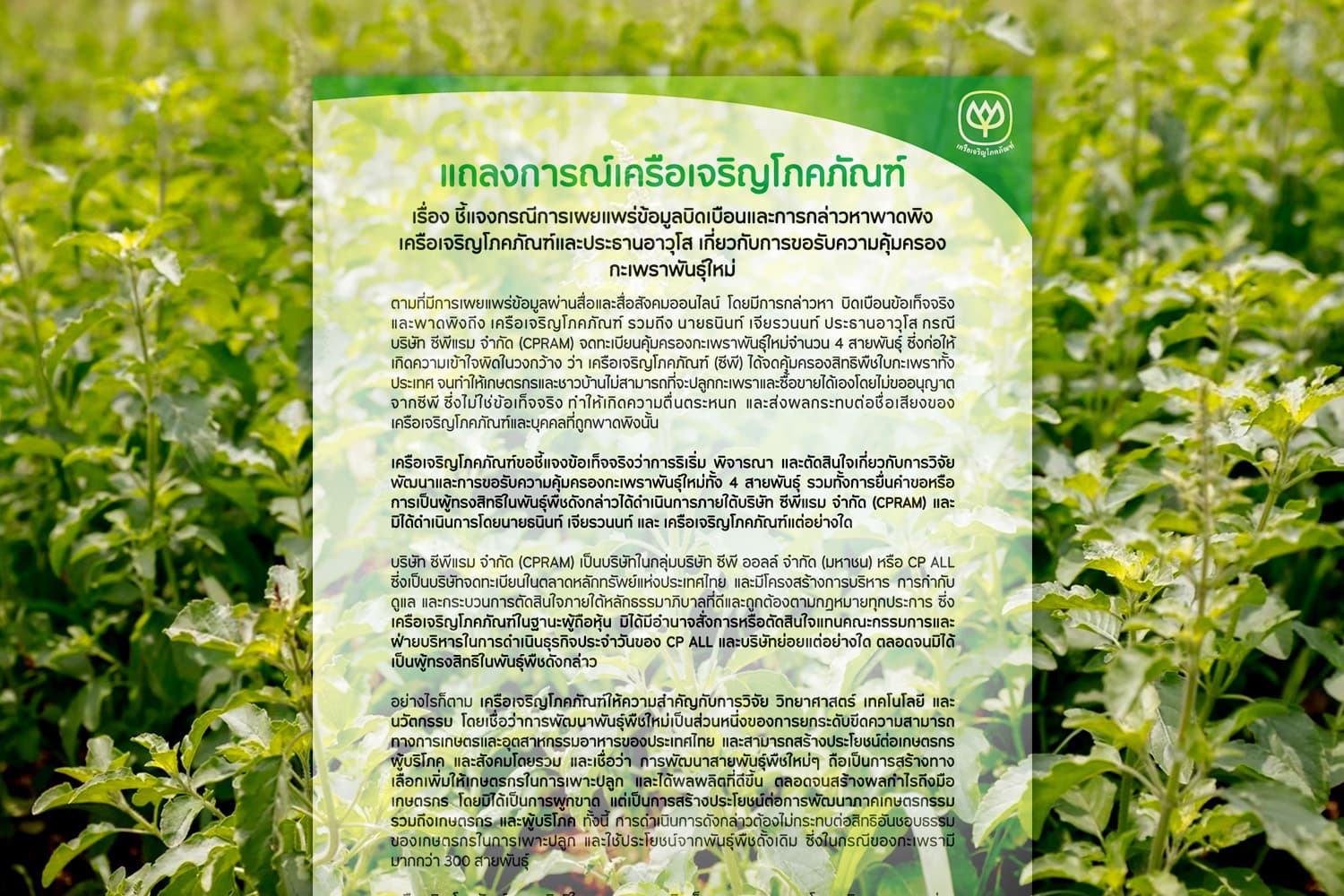 ซีพีแจงคุ้มครองกะเพรา 4 พันธุ์ ไม่ใช่กะเพราทั้งประเทศ