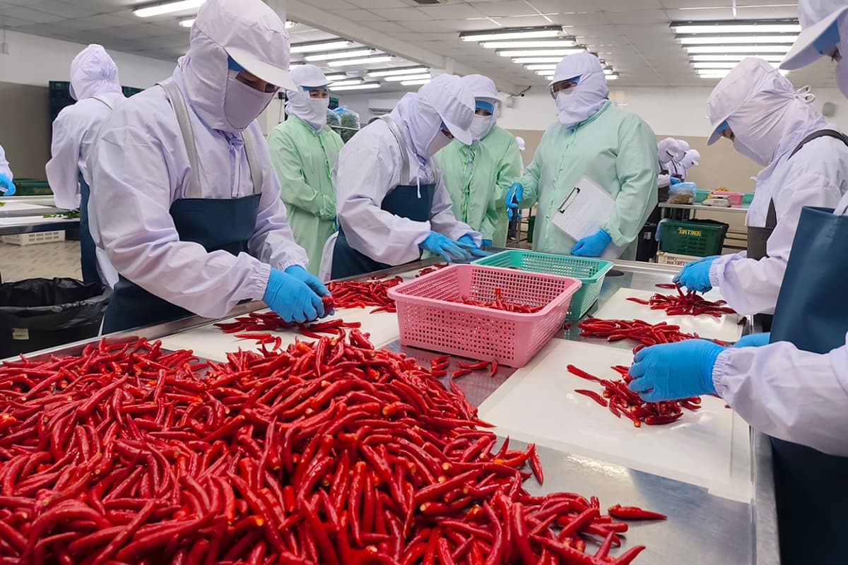cpf-sme-ai-food-safety-SPACEBAR-Photo03.jpg