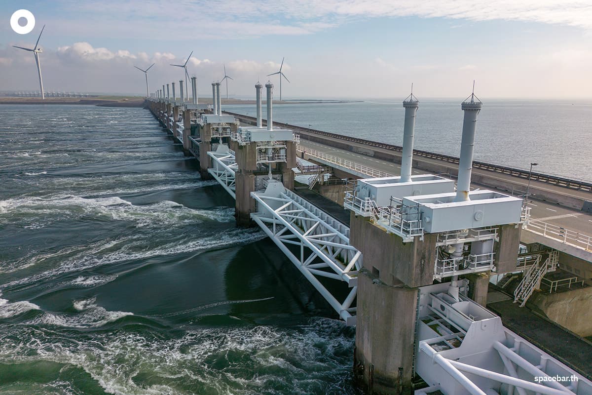 (Photo by : Shutterstock / Robin Dessens)