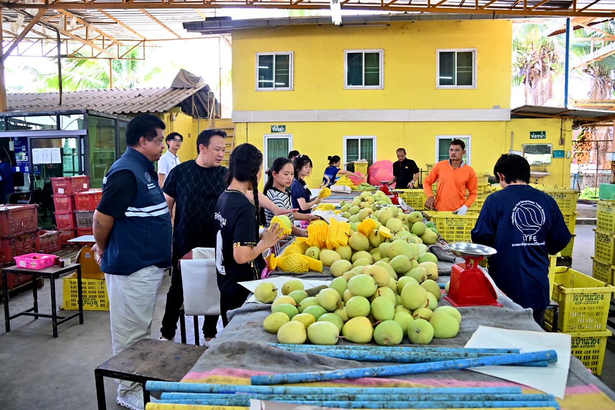 dit-fruit-market-mango-longan-2569-SPACEBAR-Photo01.jpg