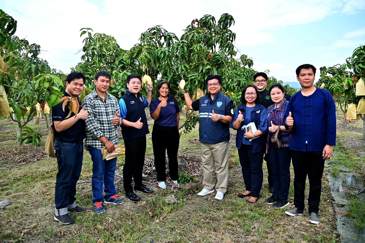 dit-fruit-market-mango-longan-2569-SPACEBAR-Photo02.jpg