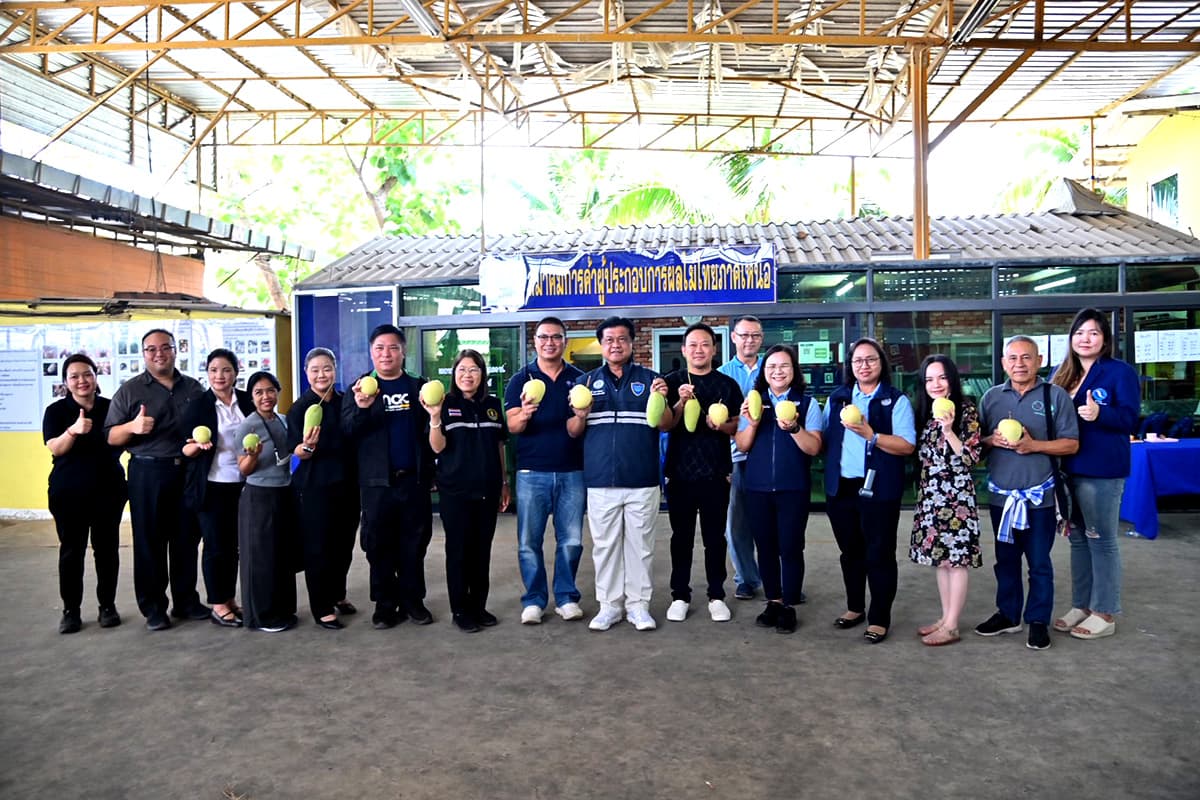 dit-fruit-market-mango-longan-2569-SPACEBAR-Photo03.jpg