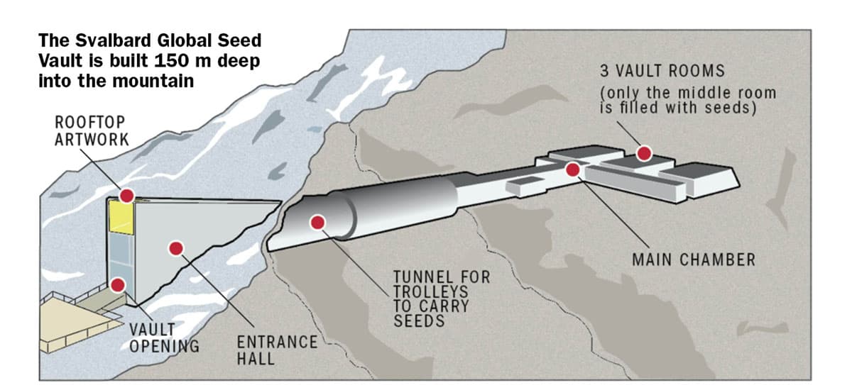 ecoeyes_what_you_need_to_know_about_svalbard_global_seed_vault_SPACEBAR_Photo01_eacbfb1da6.jpg