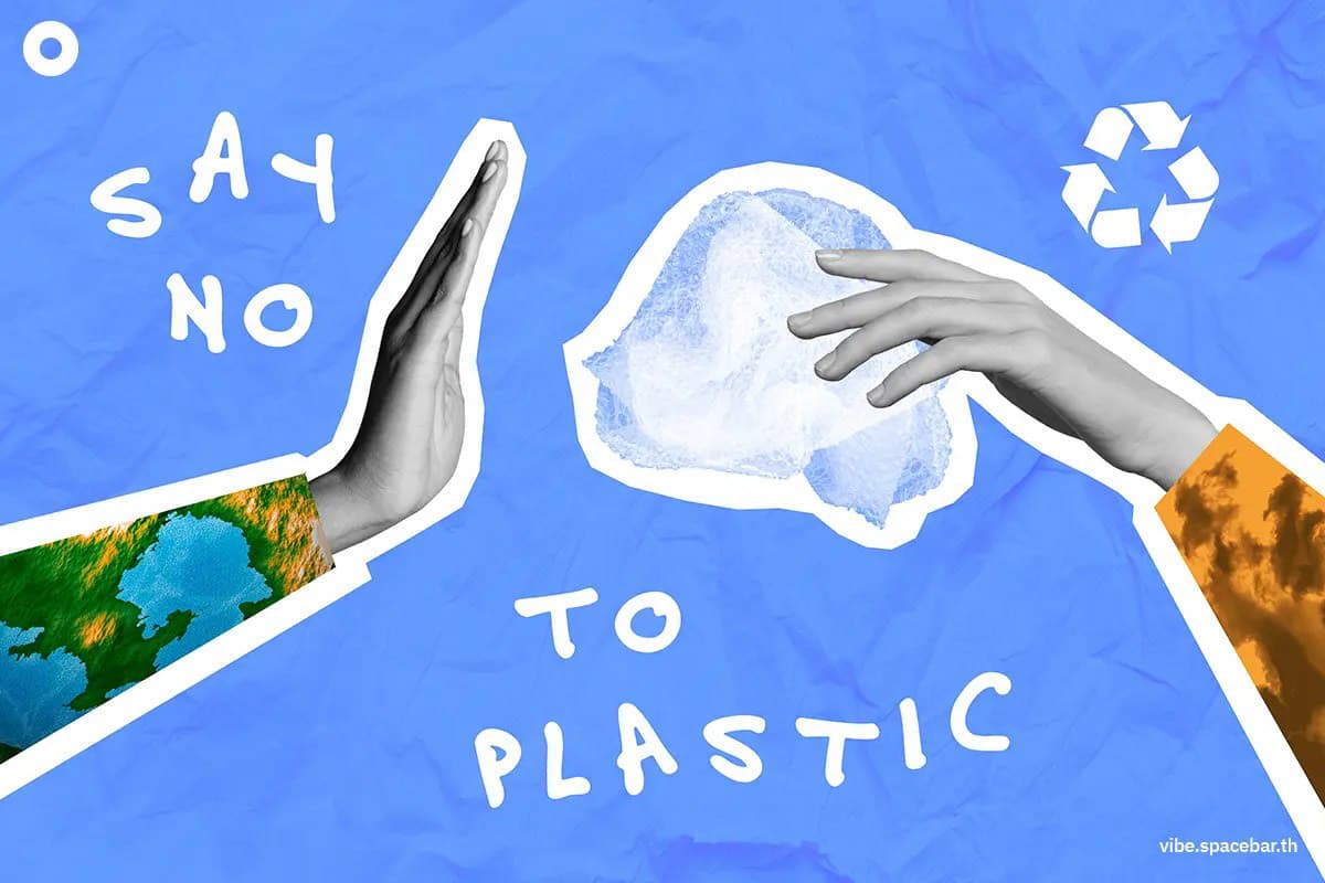 ecoeyes_witches_knickers_plastic_bag_slang_2_SPACEBAR_Photo04_11f6c9bc24.jpg