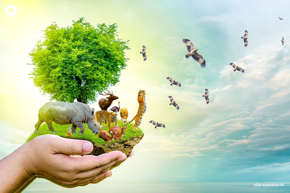 ecoeyes_world_wildlife_day_from_conservation_to_investing_to_save_the_world_SPACEBAR_Photo01_79c95b2e4d.jpg