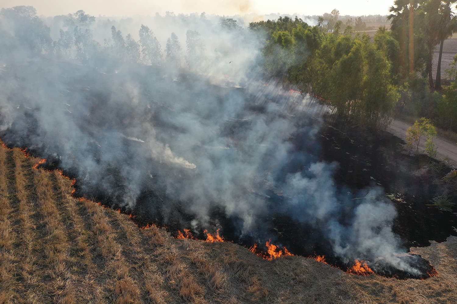 หยุดเผา ลดฝุ่น เพิ่มรายได้ เกษตรฯ หนุนเปลี่ยนเศษวัสดุเหลือใช้เป็นเงิน
