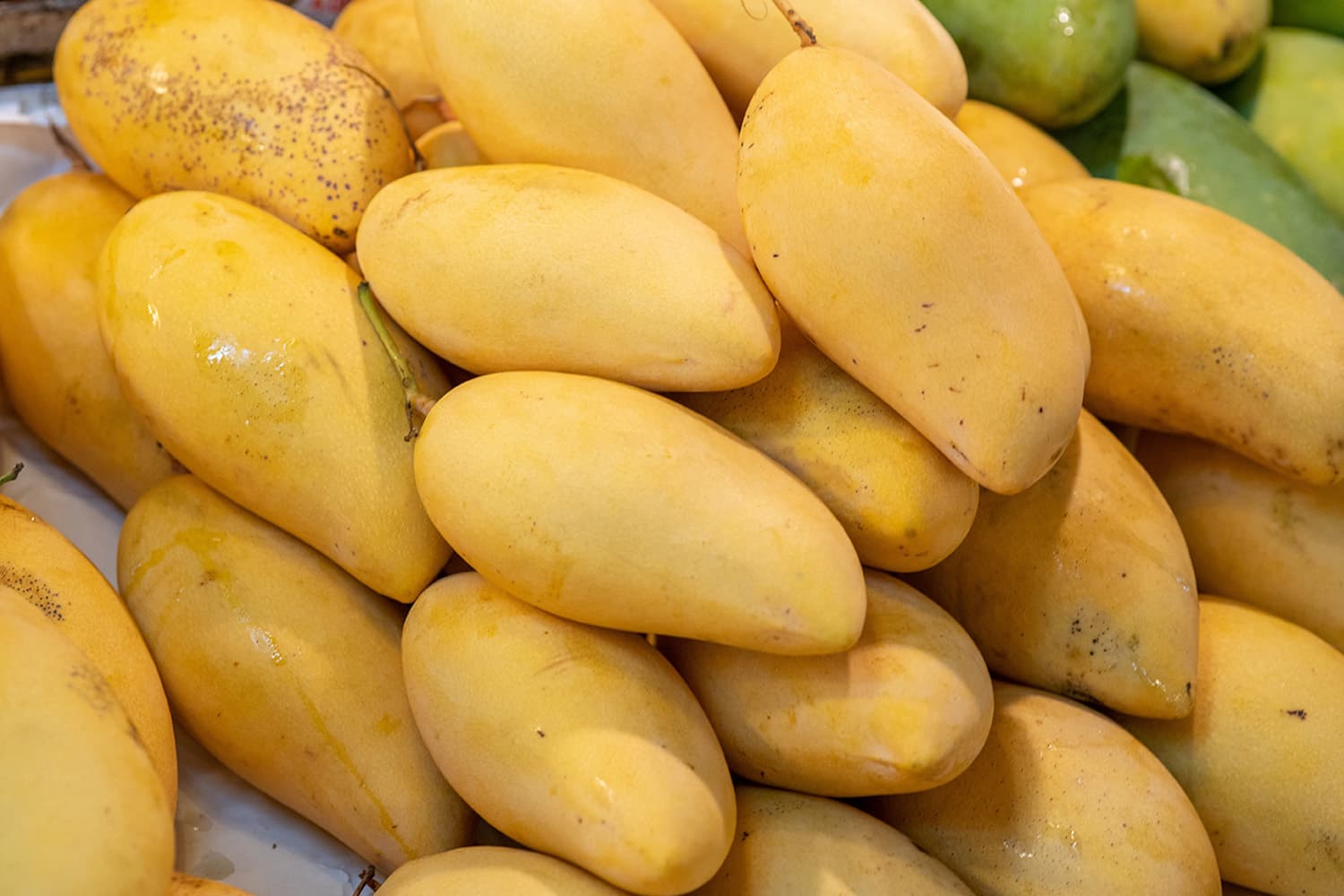 มะม่วง GI ไทยฟีเวอร์13 สายพันธุ์โกยพันล้าน คุณภาพมาตรฐานโลก