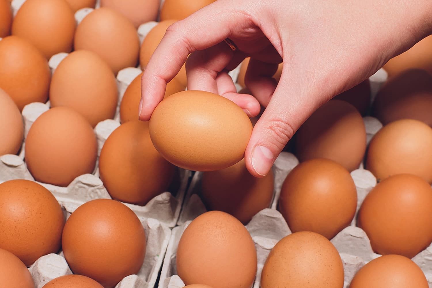 ไข่ไก่ขึ้นราคา แผงละ 6 บาท ผลผลิตลด-อากาศร้อนกดซัพพลาย