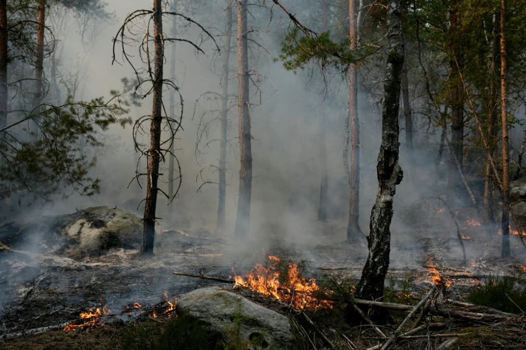 fontainebleau-forest-fire-paris-france-heatwave-3.jpeg
