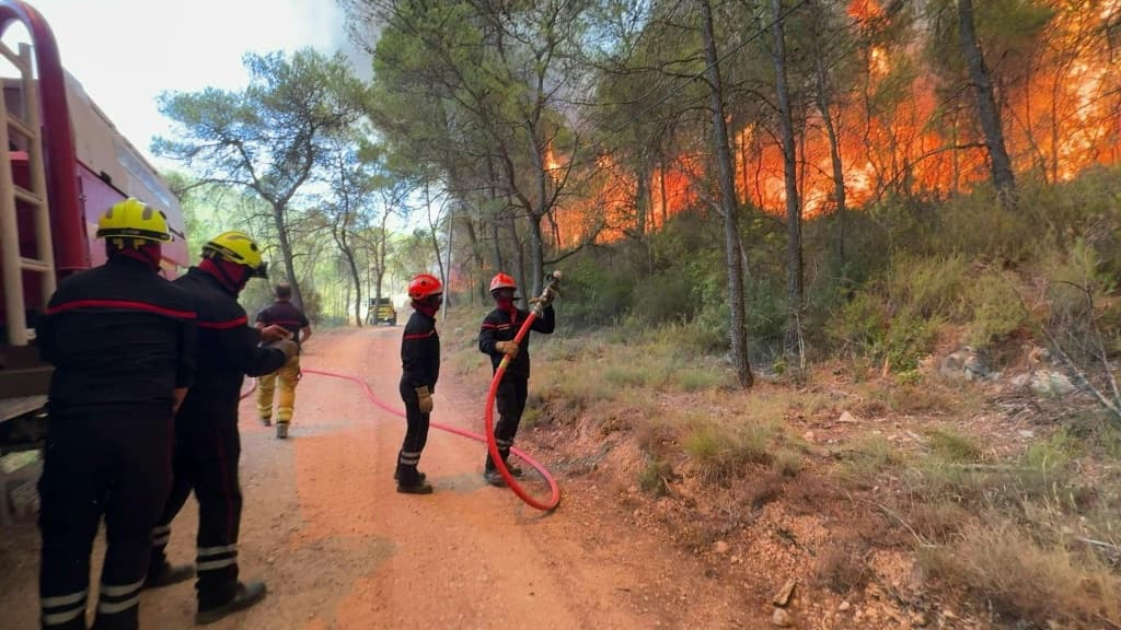 france-largest-wildfire-bordeaux-under-control-2022-1.jpeg