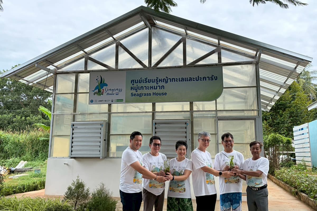 green-space-kasetsart-seagrass-restoration-breakthrough-enhalus-acoroides-first-in-world-SPACEBAR-Photo03.jpg