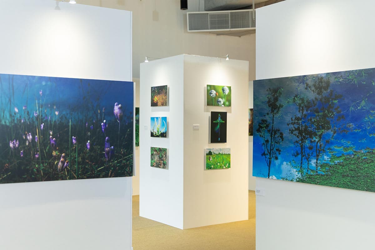 green-space-siam-piwat-biodiversity-photo-exhibition-sustainable-world-dialogue-2026-SPACEBAR-Photo07.jpg