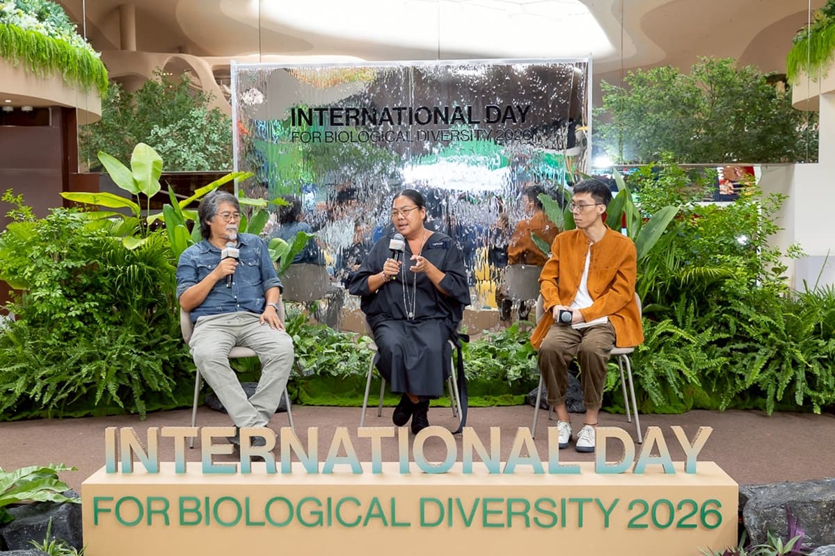 green-space-siam-piwat-undp-biofin-urban-biodiversity-restoration-SPACEBAR-Photo02.jpg