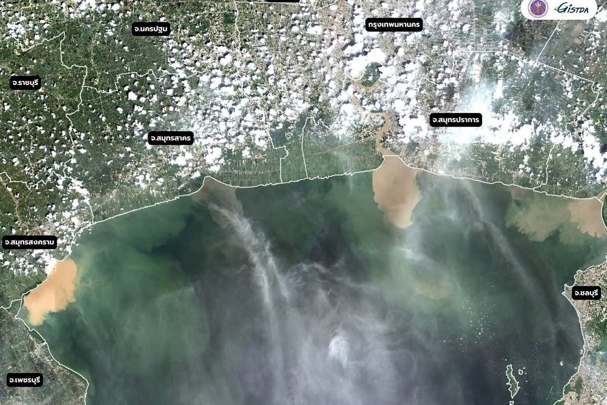 green-space-thailand-gulf-floodwaters-plankton-bloom-dead-zone-2026-SPACEBAR-Photo01.jpg
