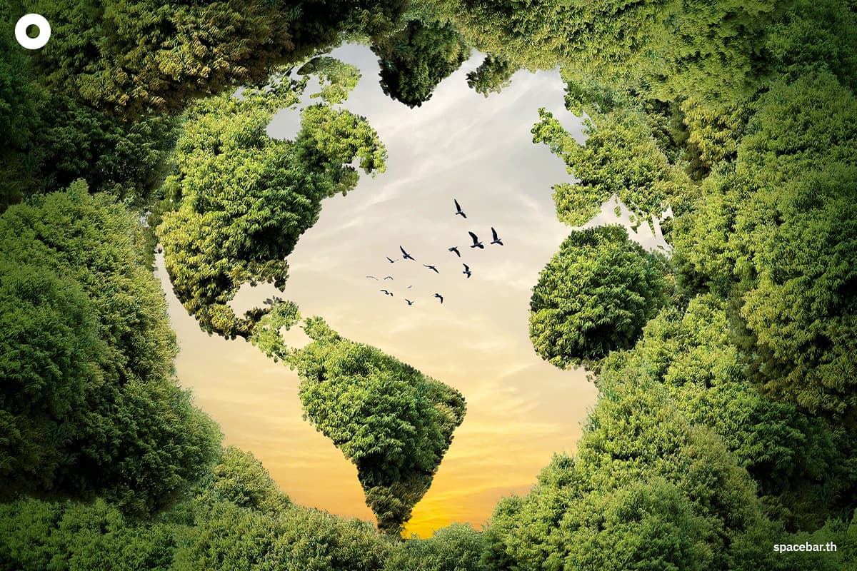 green-space-world-environment-day-2026-climate-action-global-warming-SPACEBAR-Photo01.jpg