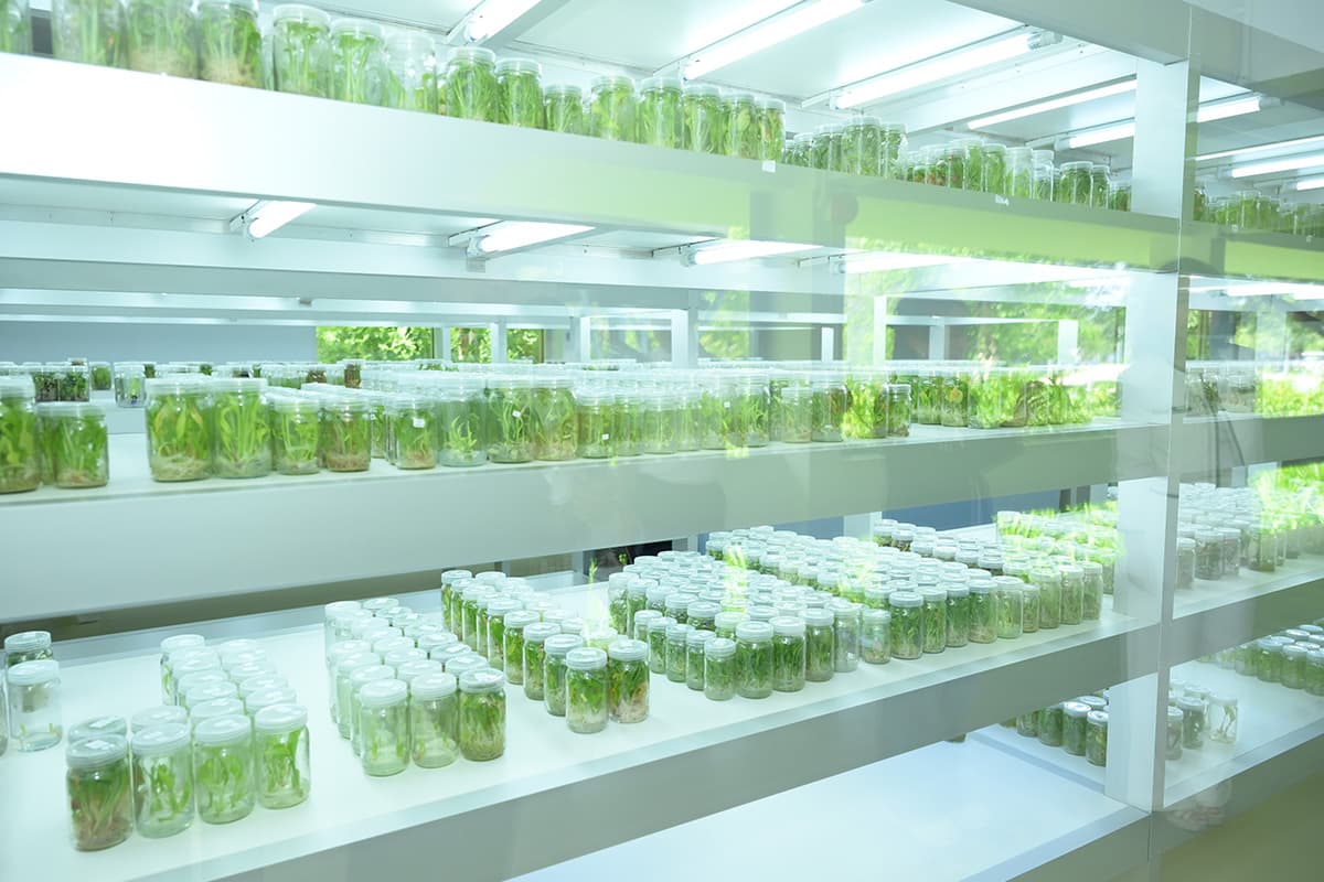 gulf-solar-mahidol-bioeconomy-SPACEBAR-Photo05.jpg