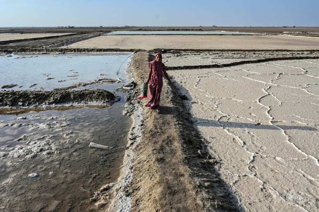 india-salt-workers-extreme-heat-survival-techniques-3.jpeg