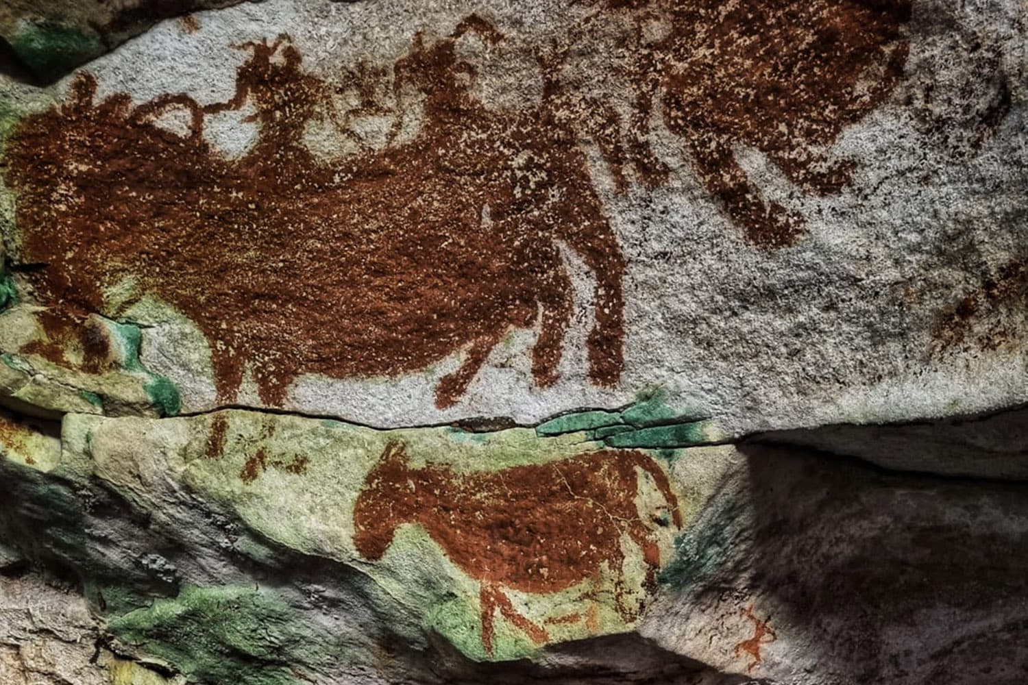 นักโบราณคดีพบภาพเขียนผนังถ้ำเก่าแก่สุดในโลกที่อินโดฯ อายุเกือบ 68,000 ปี