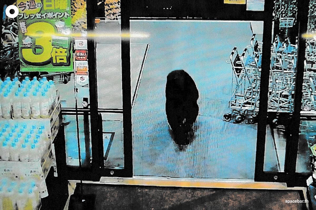 (Photo by : HANDOUT / VARIOUS SOURCES / AFP)