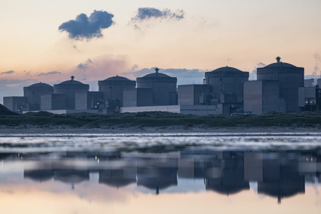 jellyfish-shutdown-french-nuclear-plant-gravelines-1.jpg
