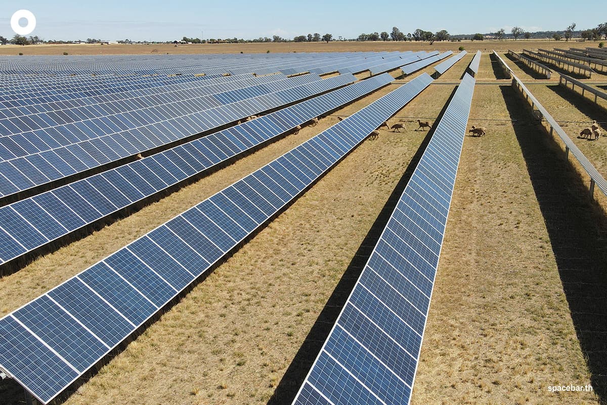 ภาพถ่ายเมื่อวันที่ 19 มกราคม 2026 ที่ฟาร์มโซลาร์เซลล์ Dubbo Solar Hub ในออสเตรเลีย ซึ่งมีแผงโซลาร์เซลล์กว่า 30,000 แผ่น ติดตั้งอยู่บนพื้นที่ประมาณ 0.5 ตารางกิโลเมตร Photo by GREGORY PLESSE / AFP