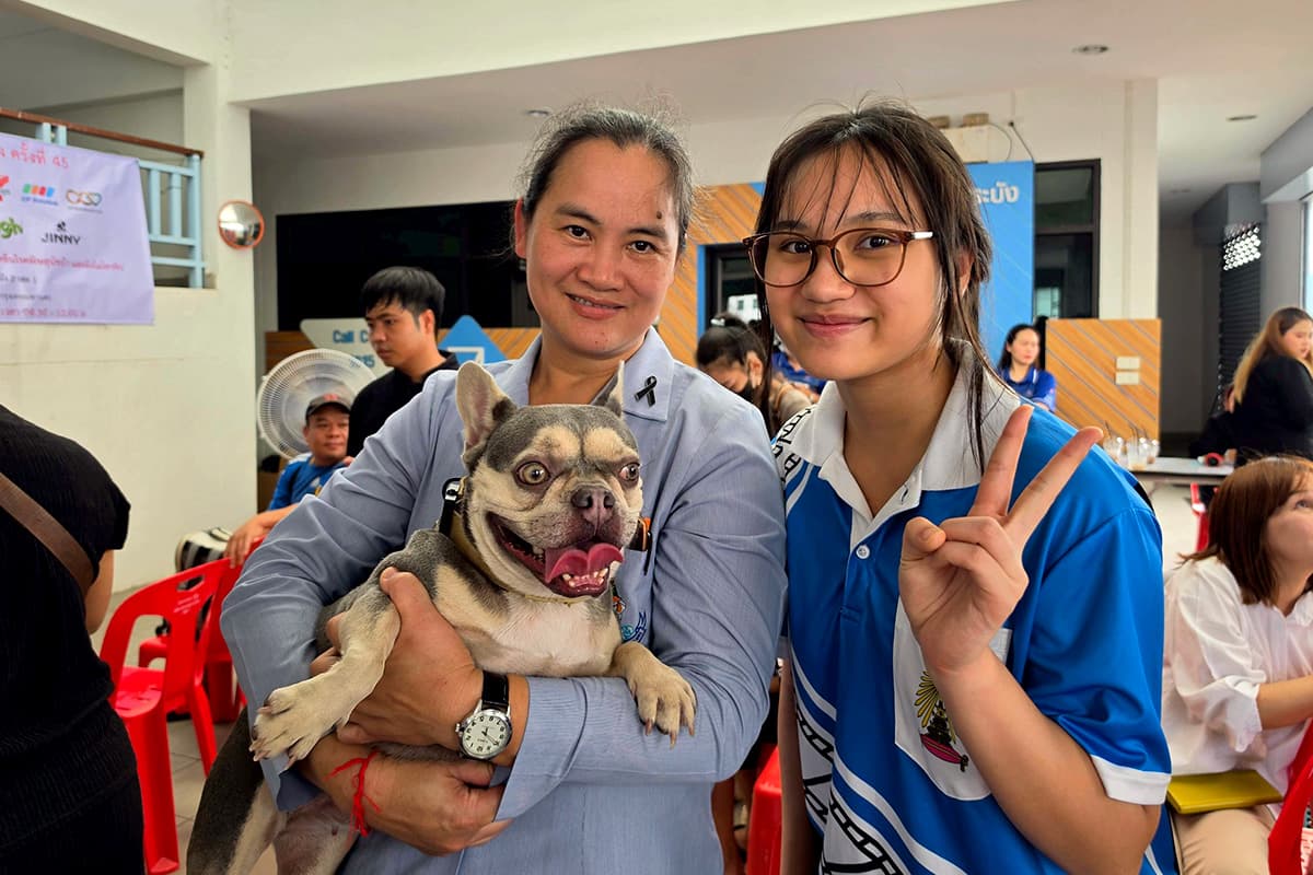 seven-love-dogs-free-sterilize-vaccine-chip-SPACEBAR-Photo07-1.jpg