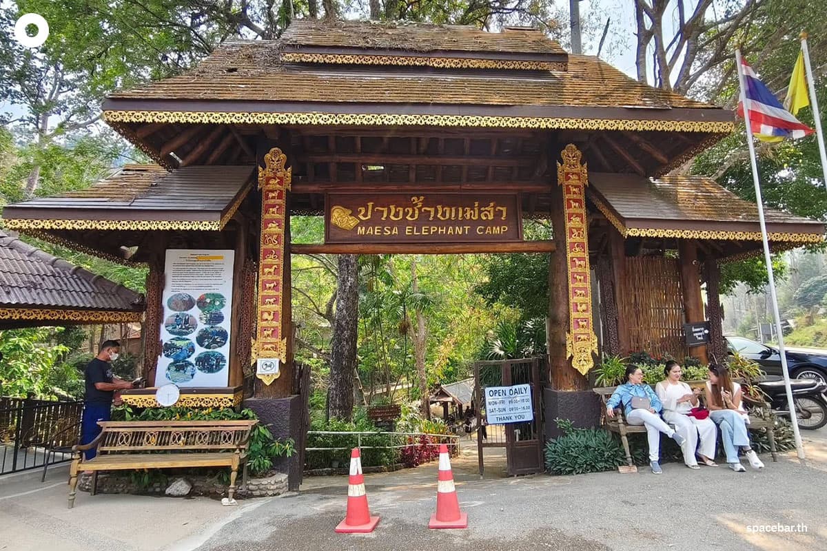 spacebar-big-city-chiangmai-elephant-tourism-crisis-SPACEBAR-Photo09.jpg