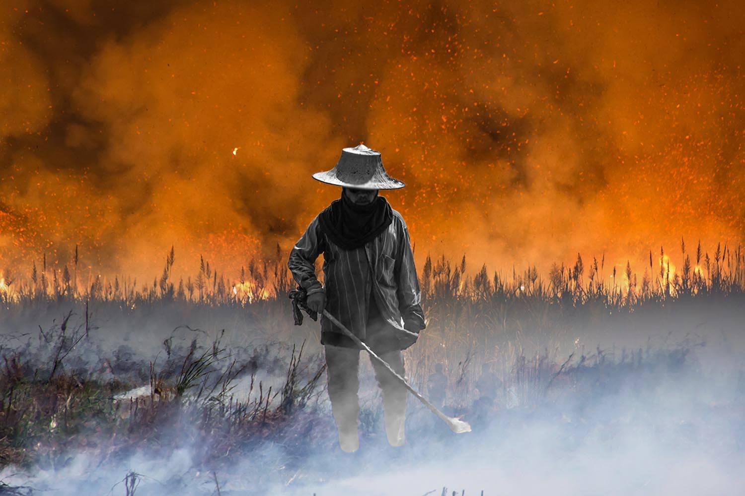 เปิดสถิติเผาภาคเกษตร ม.ค.พุ่ง 3.8 ล้านไร่ กฎหมายห้ามเผาเอาจริง ก.พ.–มี.ค.ใช้ทั่วประเทศ