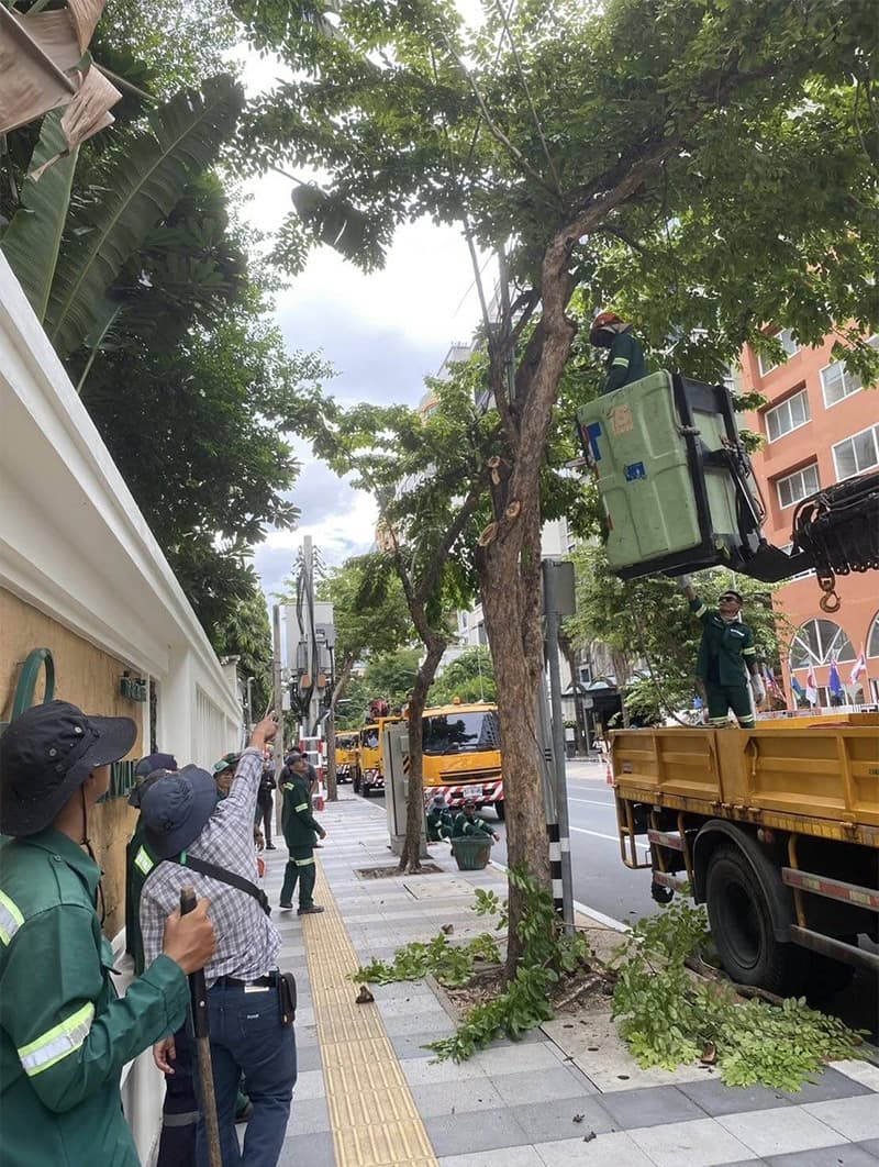 sustainability-bangkok-tree-inspection-50-districts-storm-preparedness-2026-SPACEBAR-Photo V02.jpg