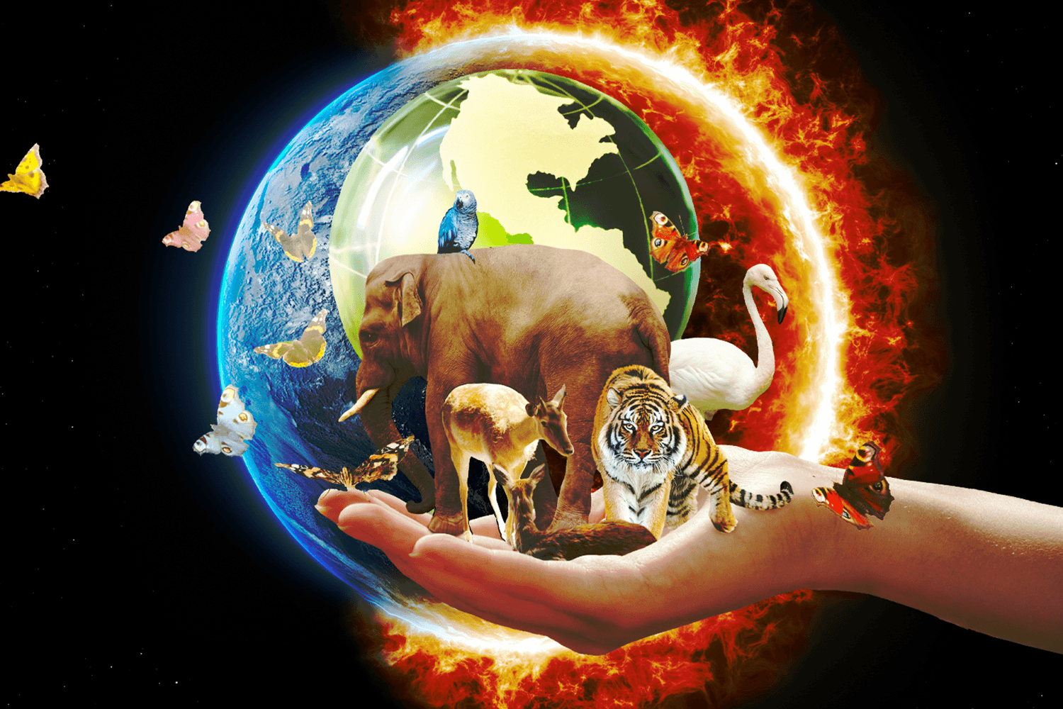 ถอดรหัสวิกฤต Biodiversity Collapse ธรรมชาติเสื่อมกับความเสี่ยงและการปรับตัว