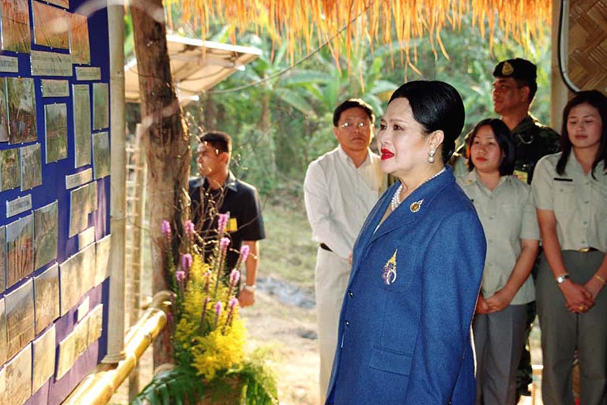 sustainability-forest-loves-water-the-queen-mothers-vision-SPACEBAR-Photo03.jpg