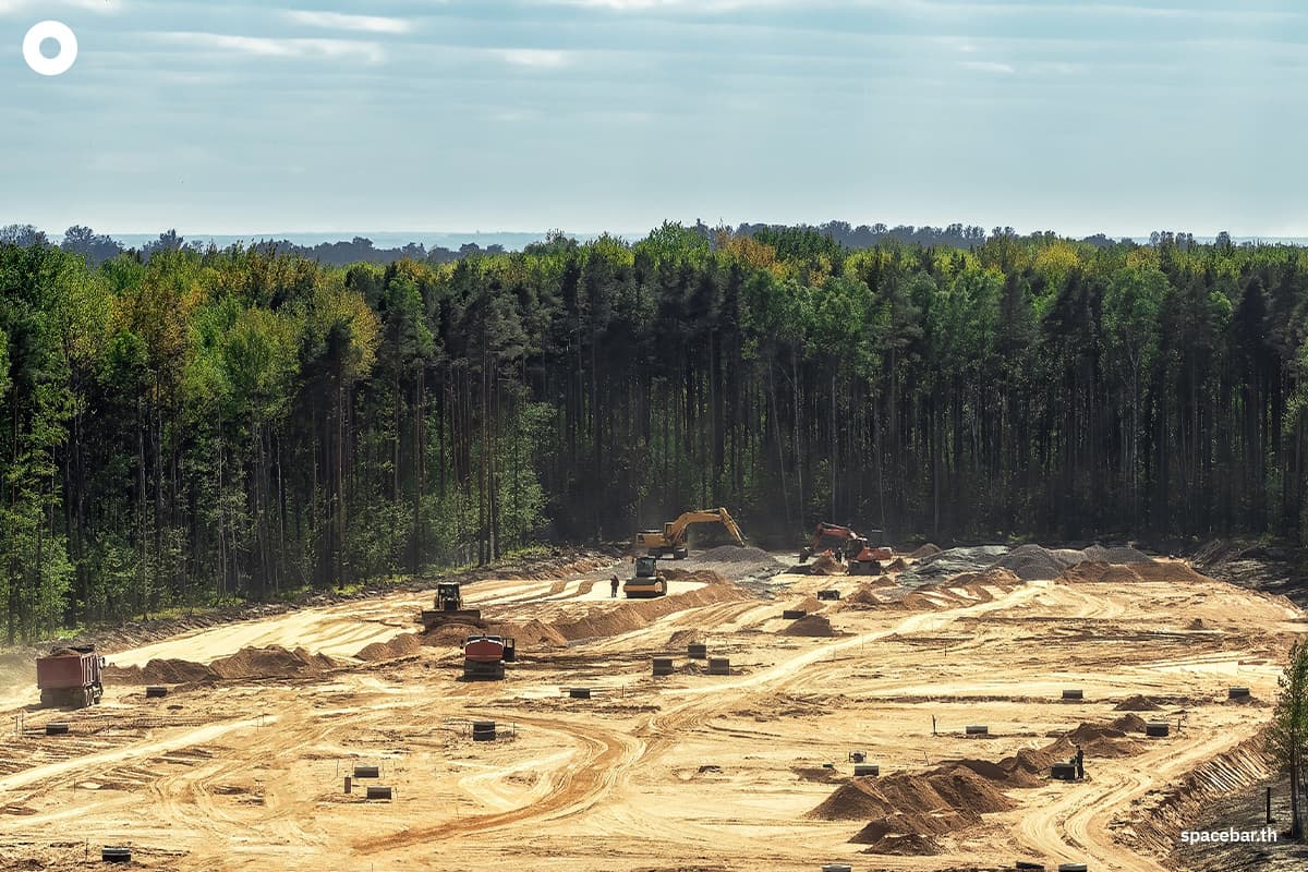 วิกฤตความร้อนจากการตัดไม้ทำลายป่าคร่าผู้คนกว่าครึ่งล้านใน 2 ทศวรรษ