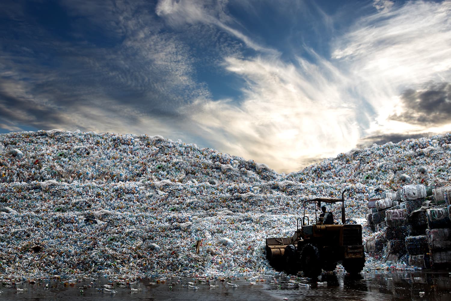 ด้านมืดของพลาสติก กระทบสิ่งแวดล้อม-สุขภาพเสียหายราว 50 ล้านล้านบาทต่อปี