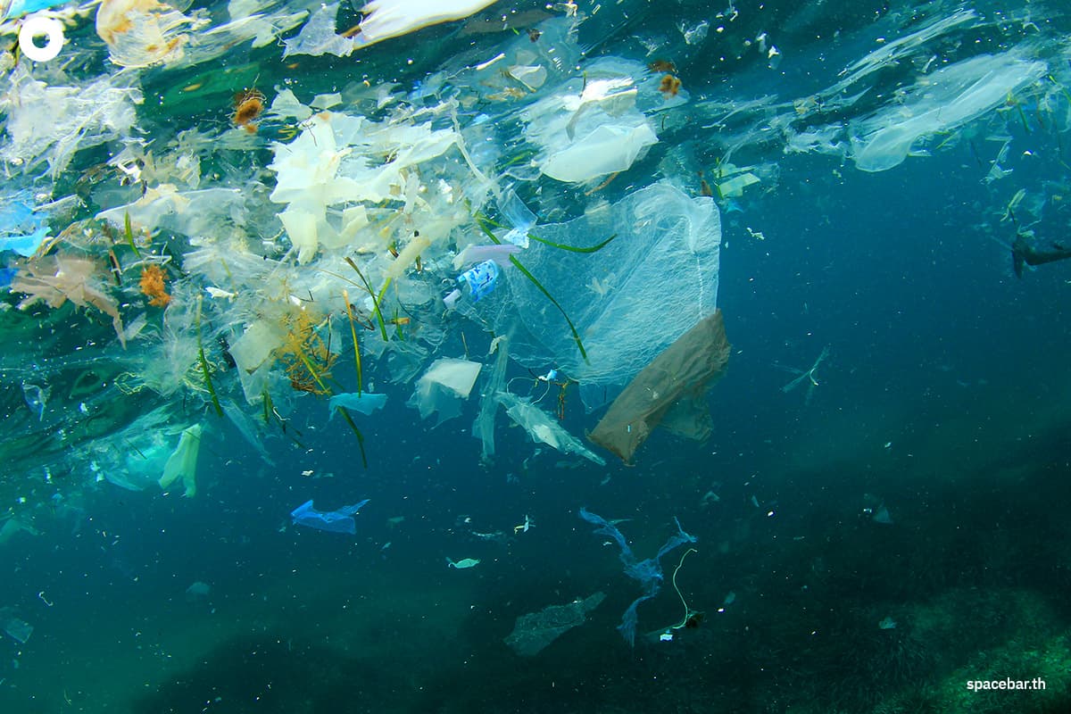 sustainability-plastic-causes-50-trillion-baht-in-annual-health-and-environmental-damages-SPACEBAR-Photo01.jpg