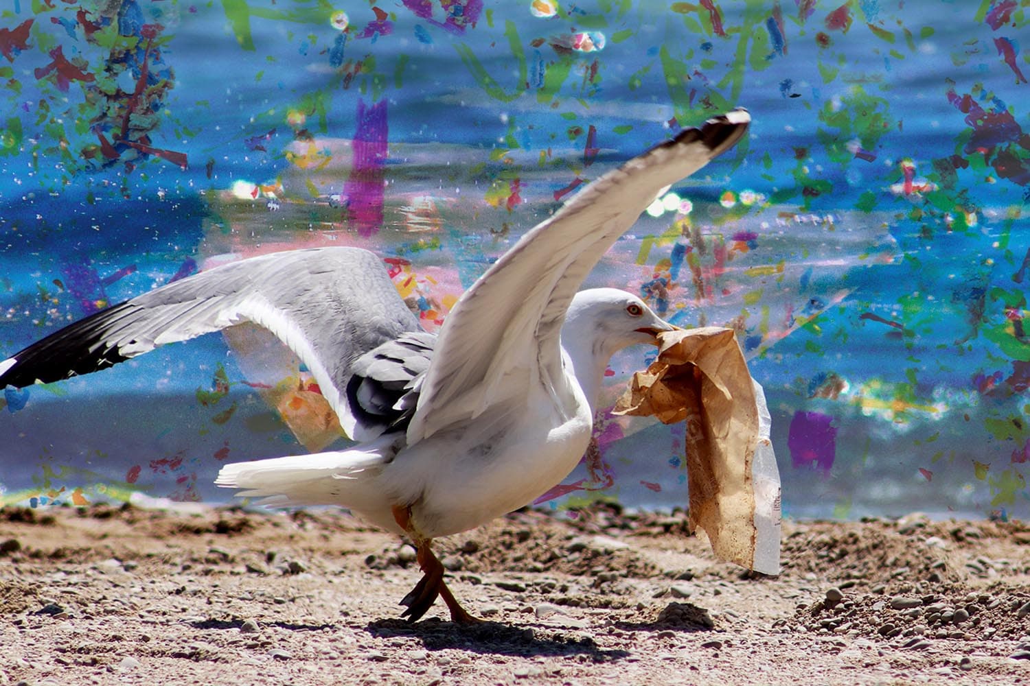 นักวิจัยไขปริศนา...นกและสัตว์ทะเลกินพลาสติกเท่าไรถึงอันตรายแก่ชีวิต?