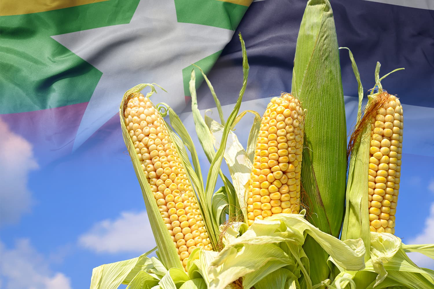 ไทย-เมียนมา ดันยุทธศาสตร์ CLEAR Sky โชว์ผลสำเร็จ 1 ปี ‘ระบบตรวจสอบย้อนกลับข้าวโพดเลี้ยงสัตว์’