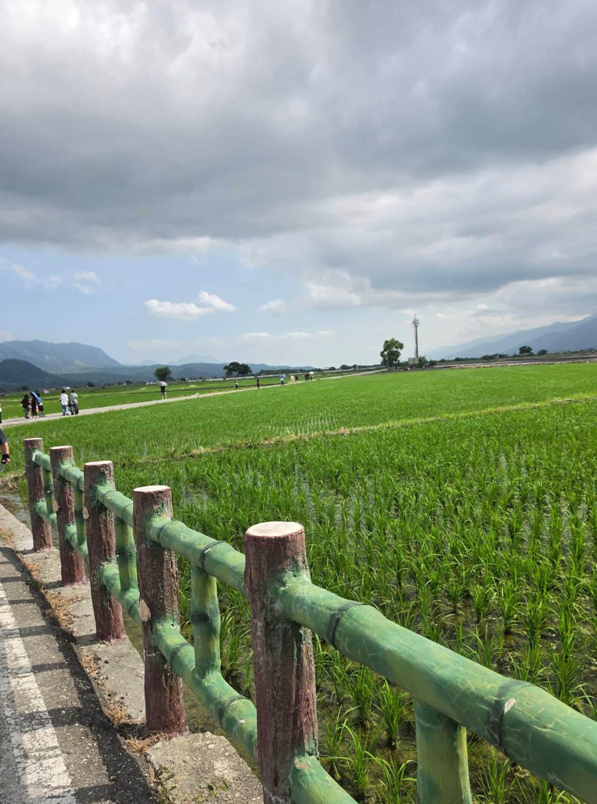 taiwan-rice-tourism-SPACEBAR-Photo04-1.jpg