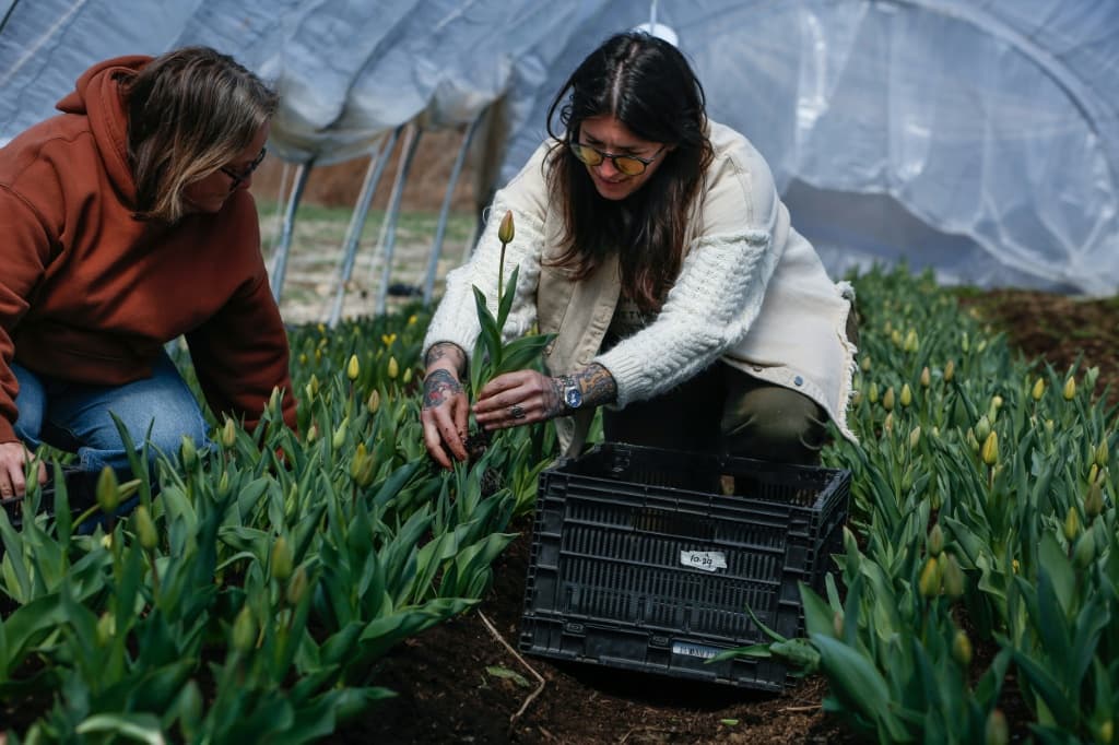 เกษตรกรสหรัฐฯ เดือดร้อนราคาน้ำมันพุ่งจากสงครามตะวันออกกลาง