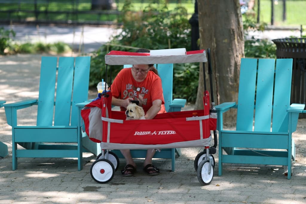 A woman sits in the shade with her dog in a wagon in Battery Park during a heatwave in New York on July 1, 2026