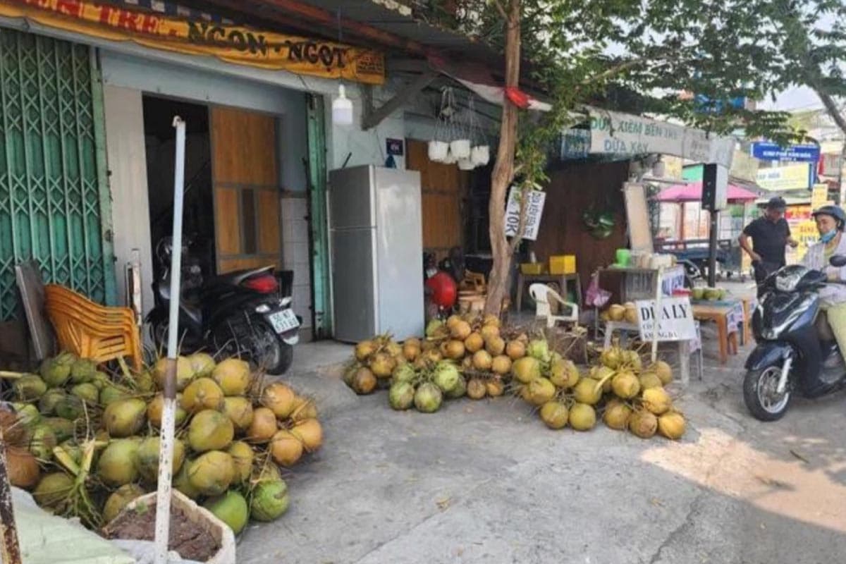 vietnam-coconut-price-surge-SPACEBAR-Photo01.jpg