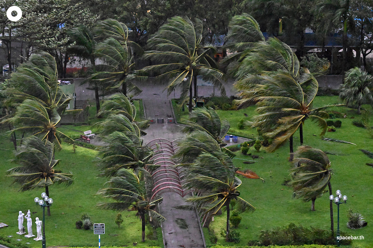 PhotoStory-   ต้นปาล์มไหวเอนเนื่องจากลมแรงพัดผ่านก่อนพายุไต้ฝุ่นคัลแมกีจะพัดขึ้นฝั่งใกล้ชายหาดกวีเญิน จังหวัดซาลาย ทางตอนกลางของเวียดนาม เมื่อวันที่ 6 พฤศจิกายน 2025 (Photo by NHAC NGUYEN / AFP)   