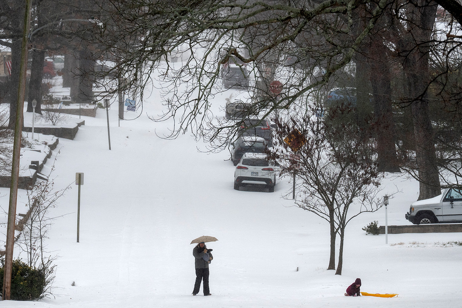 PhotoStory-พ่อแม่และลูกเล่นหิมะบนถนนปาล์ม เมื่อวันที่ 24 มกราคม 2026 ในเมืองลิตเติลร็อก รัฐอาร์คันซอ (Photo by Will Newton / GETTY IMAGES NORTH AMERICA / Getty Images via AFP)