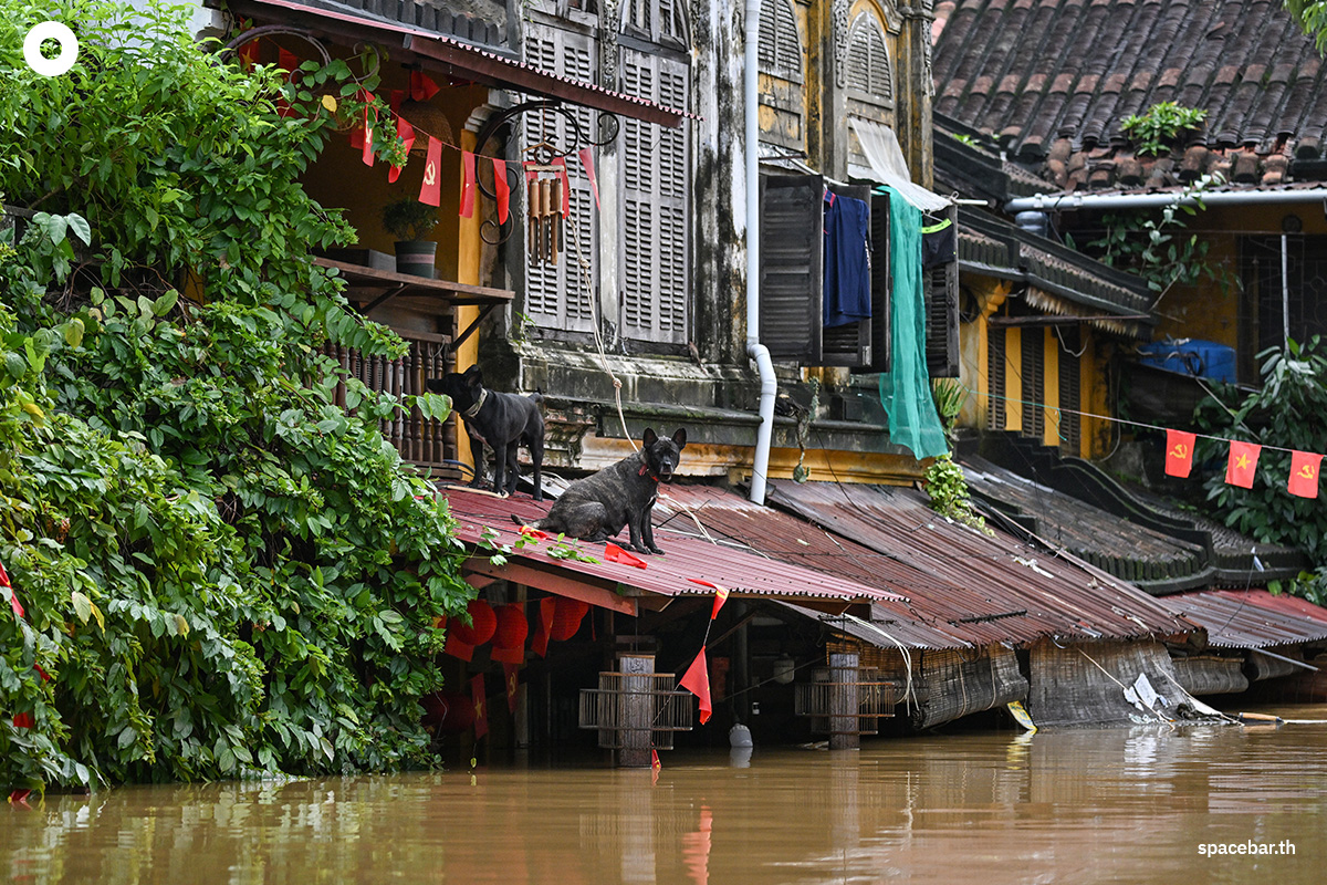 PhotoStory-   สุนัขนั่งอยู่บนหลังคาบ้านท่ามกลางน้ำท่วม หลังฝนตกหนักในเมืองฮอยอัน เมื่อวันที่ 30 ตุลาคม  2025 (Photo by NHAC NGUYEN / AFP) 
