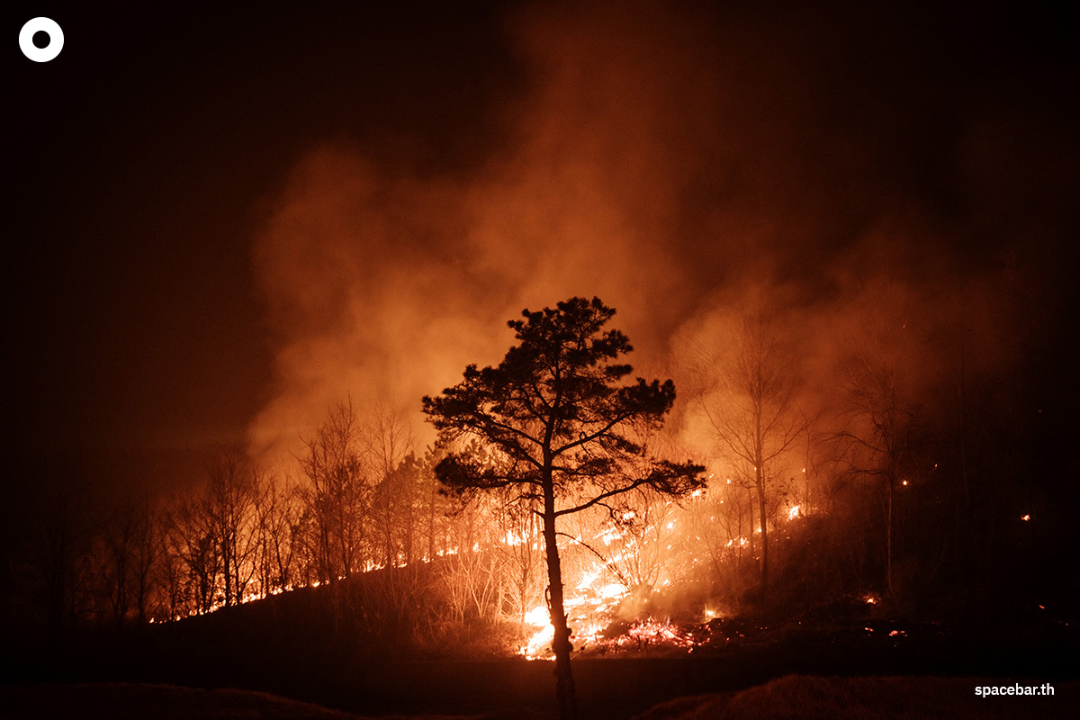 photo_story_south_korea_largest_wildfires_in_history_SPACEBAR_Photo07_0626701a60.jpg