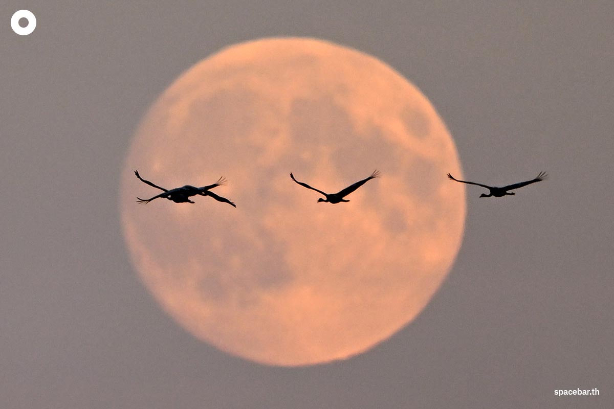 photo_story_super_full_moon_around_the_world_SPACEBAR_Photo01_faf7631c46.jpg