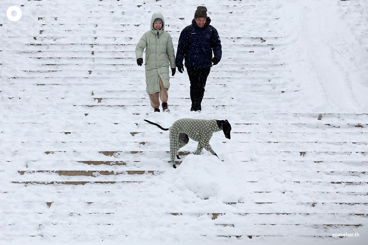 PhotoStory-ผู้คนพาสุนัขเดินเล่นท่ามกลางหิมะในเซ็นทรัลพาร์ค นครนิวยอร์ก เมื่อวันที่ 27 ธันวาคม 2025 Photo by TIMOTHY A. CLARY / AFP